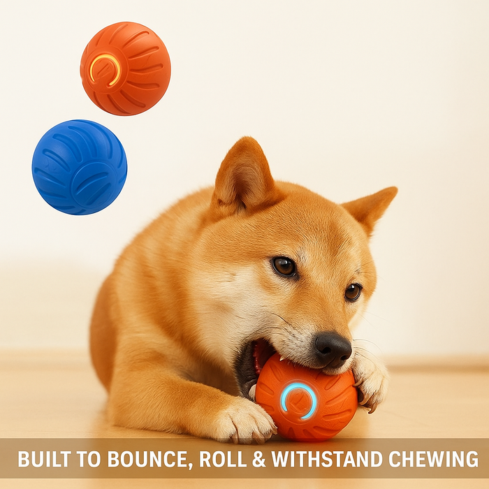 Bouncing Dog Ball Toy – Interactive Bounce Ball for Dogs