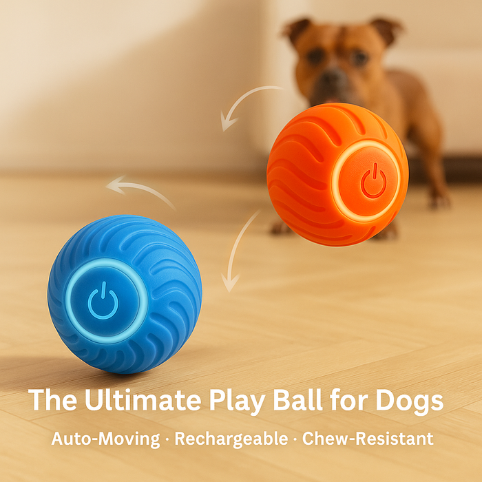 Bouncing Dog Ball Toy – Interactive Bounce Ball for Dogs