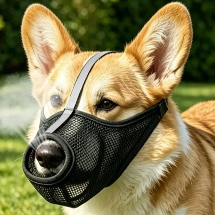 Breathable Mesh Dog Muzzle with Adjustable Strap | Washable PVC Design