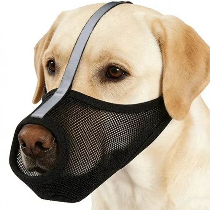 Breathable Mesh Dog Muzzle with Adjustable Strap | Washable PVC Design
