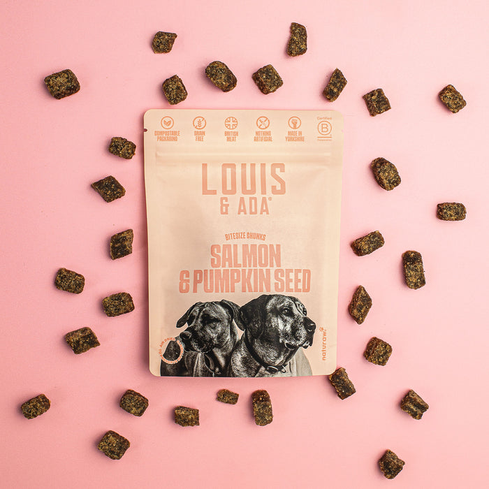 Salmon & Pumpkin Seed Treats - Naturaw