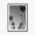 Beverly Hills Black and White Fine Art Photo Print, Los Angeles Palm Trees Poster