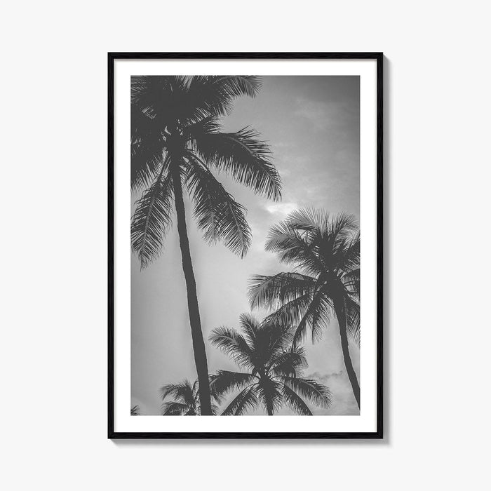 Hawaii Black and White Fine Art Photo Print, Palm Trees, Honolulu Oahu Art