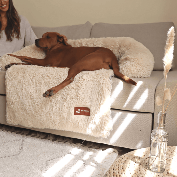 Calming Couch Bed | Dog Sofa Protector – Deep Rest & Calming Bed