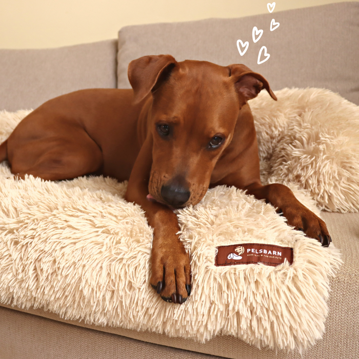 Calming Couch Bed | Dog Sofa Protector – Deep Rest & Calming Bed