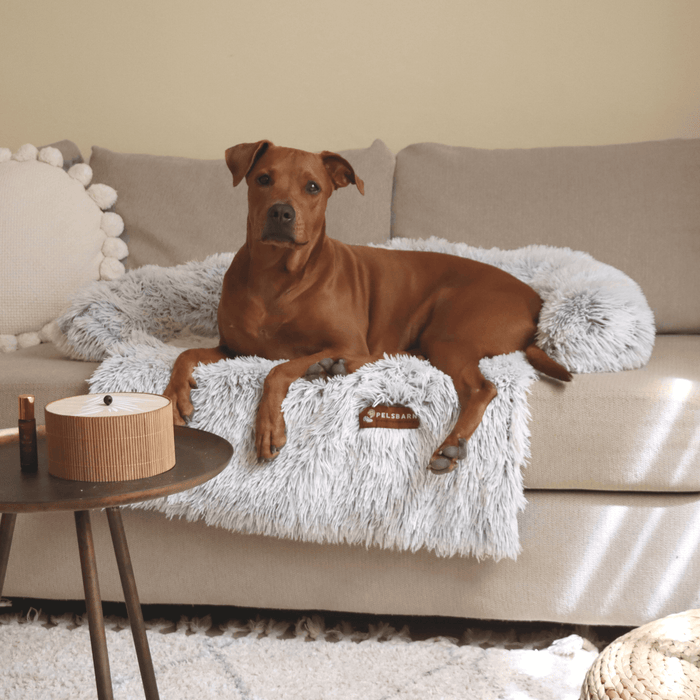 Calming Couch Bed | Dog Sofa Protector – Deep Rest & Calming Bed