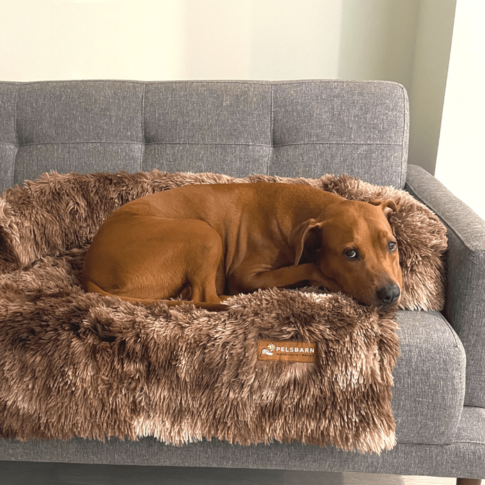 Calming Couch Bed | Dog Sofa Protector – Deep Rest & Calming Bed