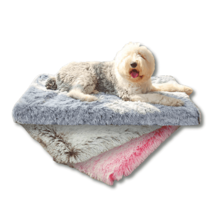 Calming Dog Bed for Large & Small Dogs – Ultra Soft Anti Anxiety Pet Bed