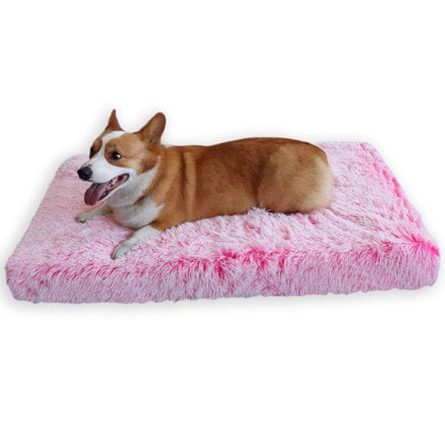 Calming Dog Bed for Large & Small Dogs – Ultra Soft Anti Anxiety Pet Bed