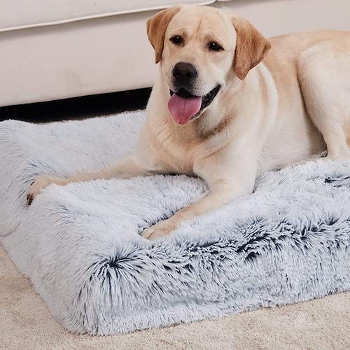 Calming Dog Bed for Large & Small Dogs – Ultra Soft Anti Anxiety Pet Bed