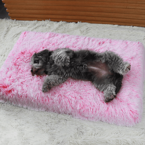 Calming Dog Bed for Large & Small Dogs – Ultra Soft Anti Anxiety Pet Bed