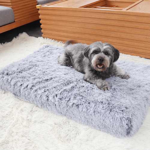 Calming Dog Bed for Large & Small Dogs – Ultra Soft Anti Anxiety Pet Bed