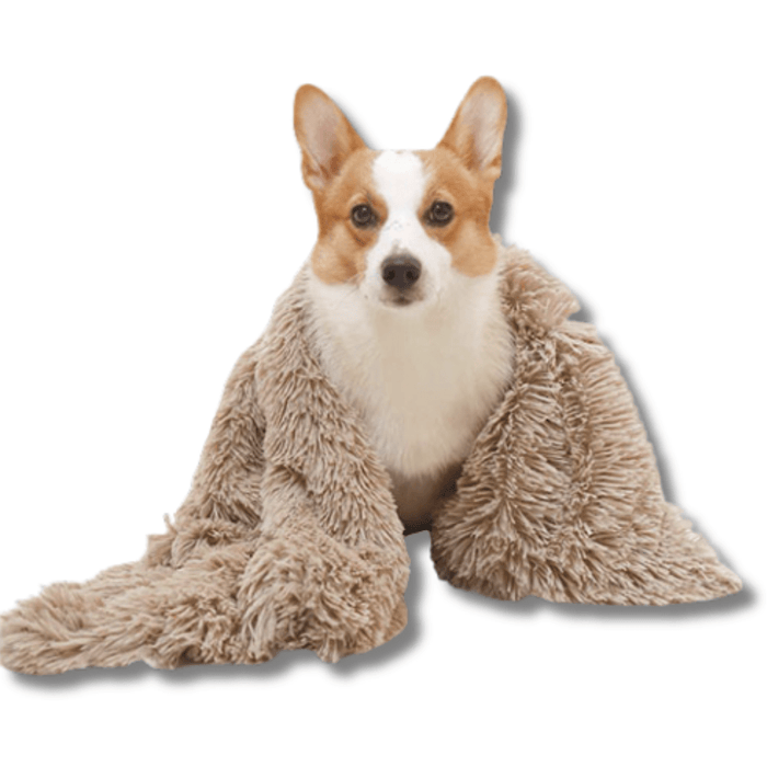 Calming Dog & Cat Blanket – Ultra Soft Anti Anxiety Pet Throw Blanket