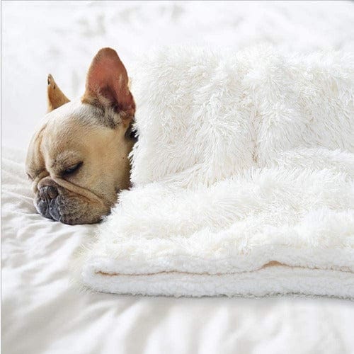 Calming Dog & Cat Blanket – Ultra Soft Anti Anxiety Pet Throw Blanket