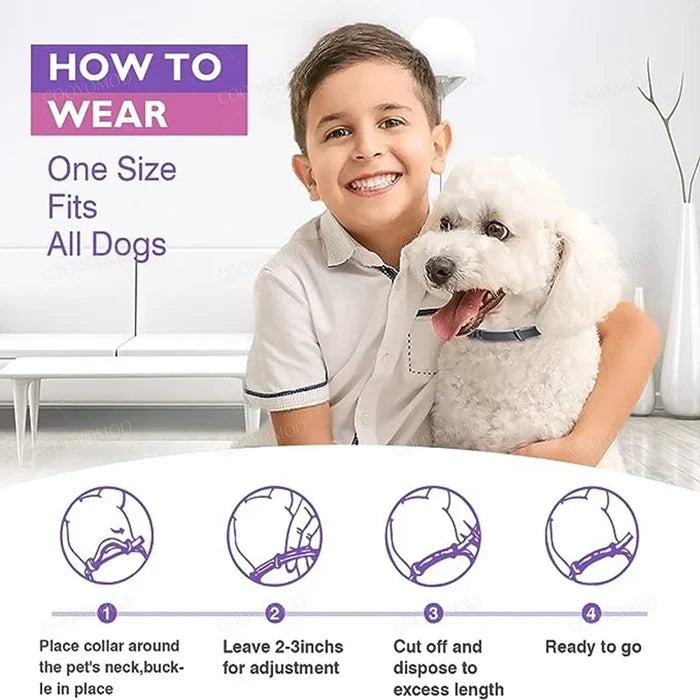 Calming Dog & Cat Collar – Adjustable Anxiety Relief Pet Collar