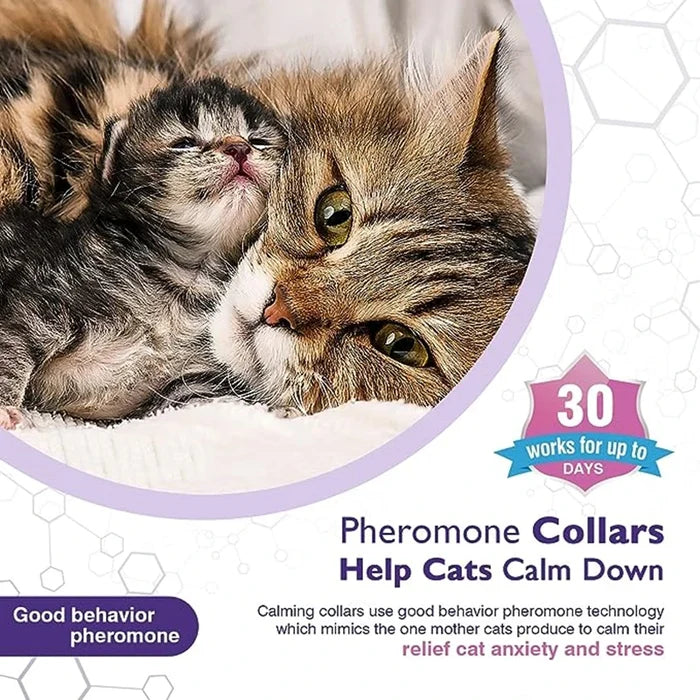 Calming Dog & Cat Collar – Adjustable Anxiety Relief Pet Collar