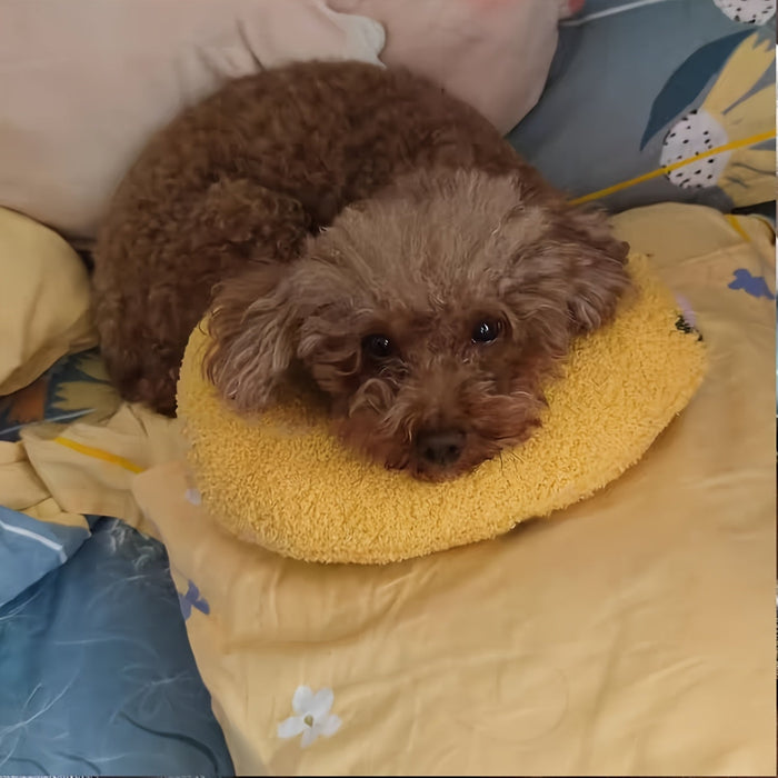 Calming Plush Dog Neck Pillow for Small Dogs – Ergonomic Sleep Support