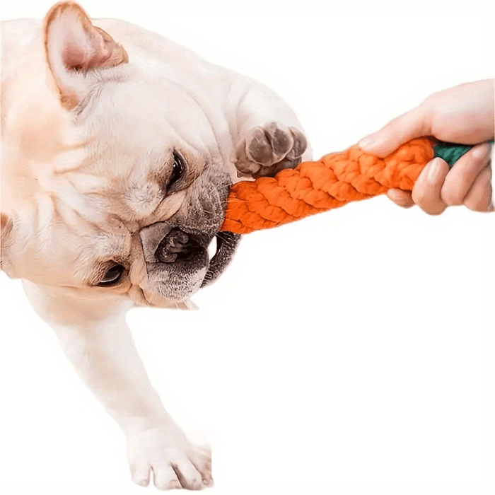 Carrot Rope Dog Chew Toy – Durable Tug & Chew Toy for Dogs