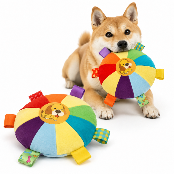 Cartoon Bear Squeaky Dog Toy | Soft Interactive Training Toy for Dogs