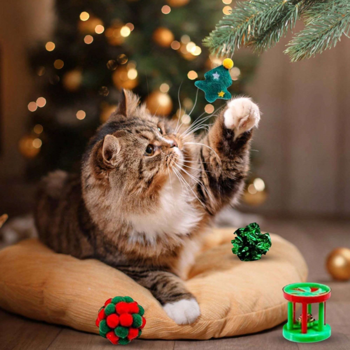 Cat Advent Calendar | 24 Holiday Toys for Cats | Christmas Countdown Gift Box