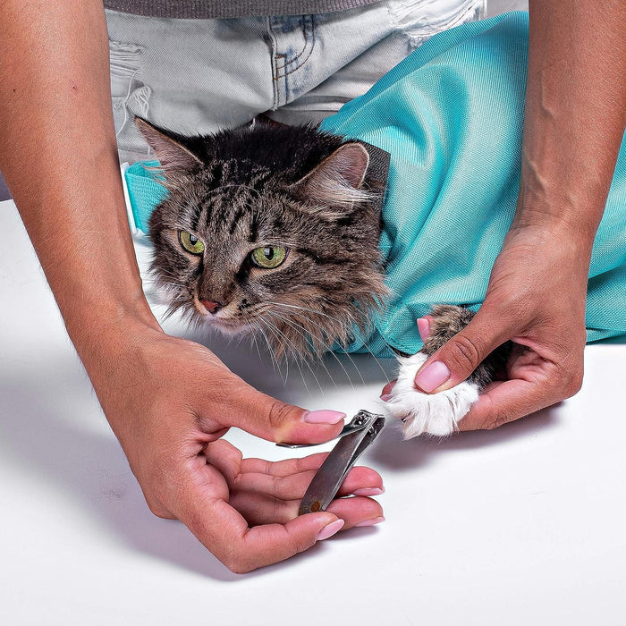 Cat Carrier Tote Bag – Stylish Pet Shoulder Bag for Cats & Small Pets