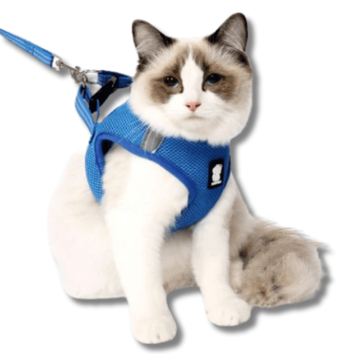 Cat Harness and Leash Set – Escape Proof Adjustable Harness for Indoor & Outdoor Cats