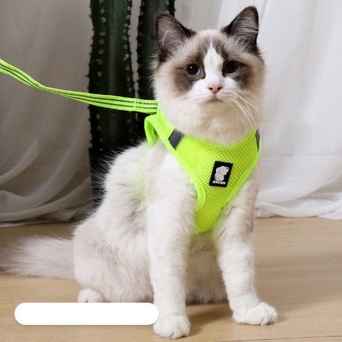 Cat Harness and Leash Set – Escape Proof Adjustable Harness for Indoor & Outdoor Cats
