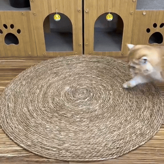 Cat Scratch Mat | Dual-Use Sisal Rug for Scratching & Rest