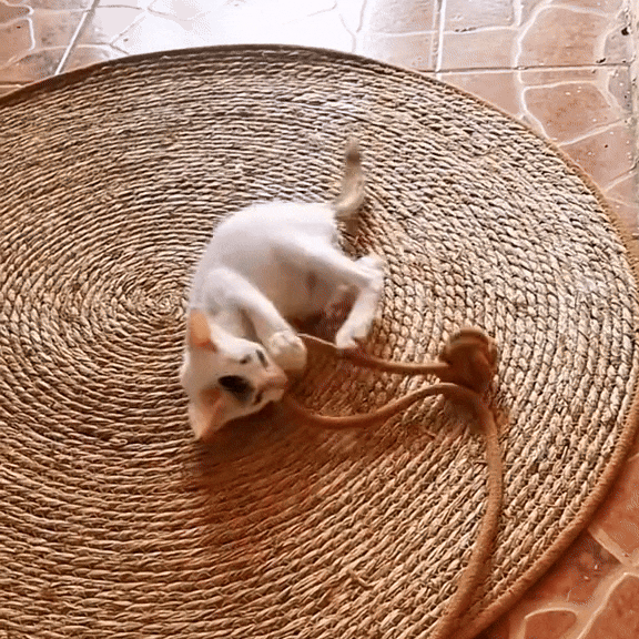 Cat Scratch Mat | Dual-Use Sisal Rug for Scratching & Rest