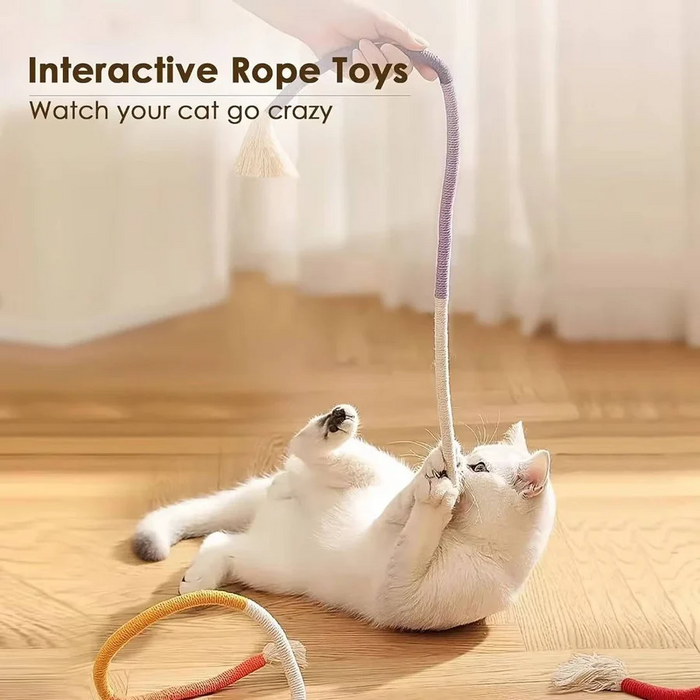 Cat Spiral Chew Toys | Fun Interactive Toys for Playful Kittens