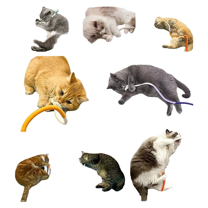 Cat Spiral Chew Toys | Fun Interactive Toys for Playful Kittens