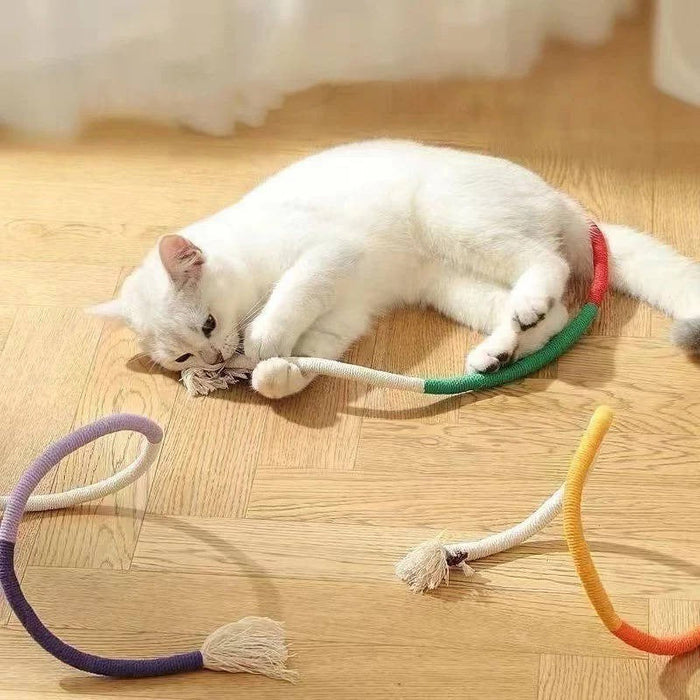Cat Spiral Chew Toys | Fun Interactive Toys for Playful Kittens