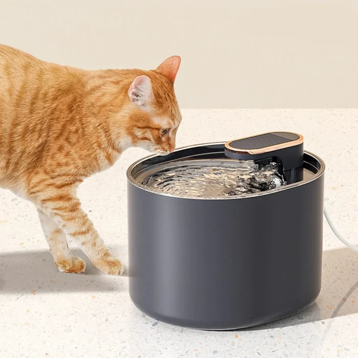 Cat Water Fountain – Stylish Automatic Drinking Fountain for Cats