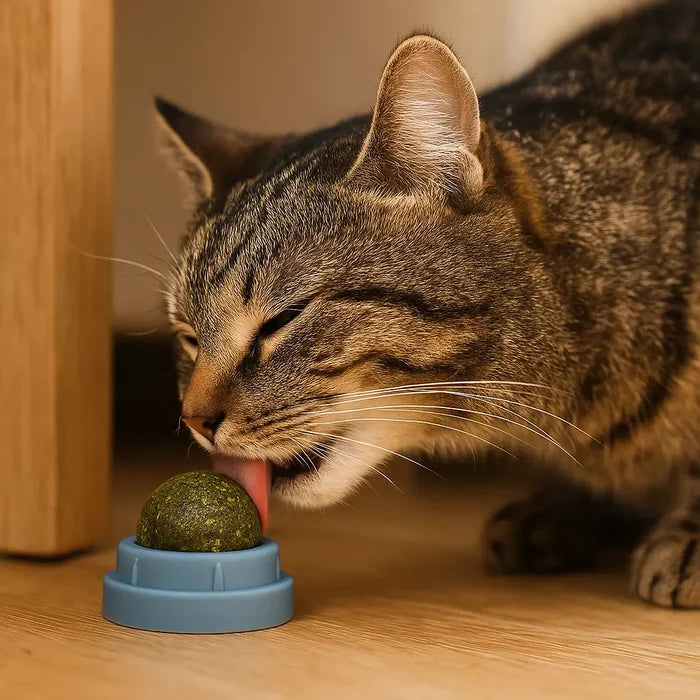 Catnip Cat Toy with Rotating Balls – Interactive Licking & Play Toy for Cats