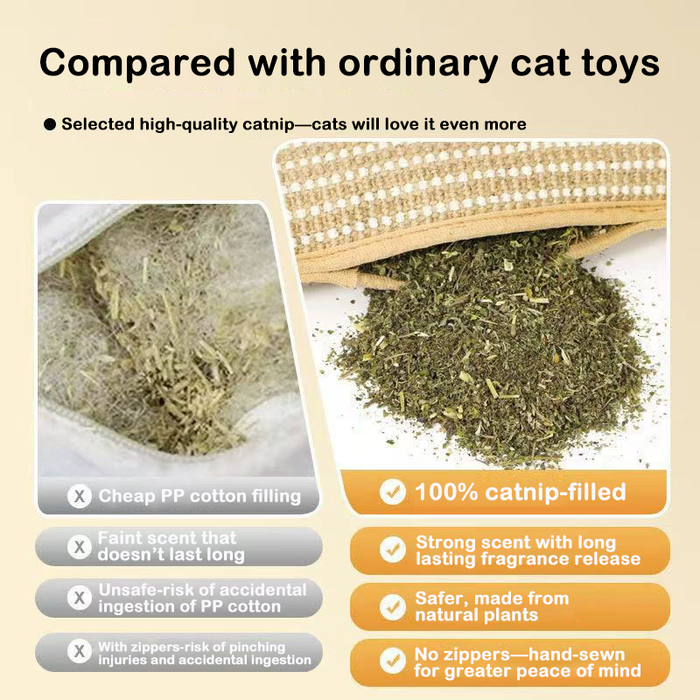 Catnip Pouch Toy | Cat Scratch Pad – Teeth Cleaning & Play