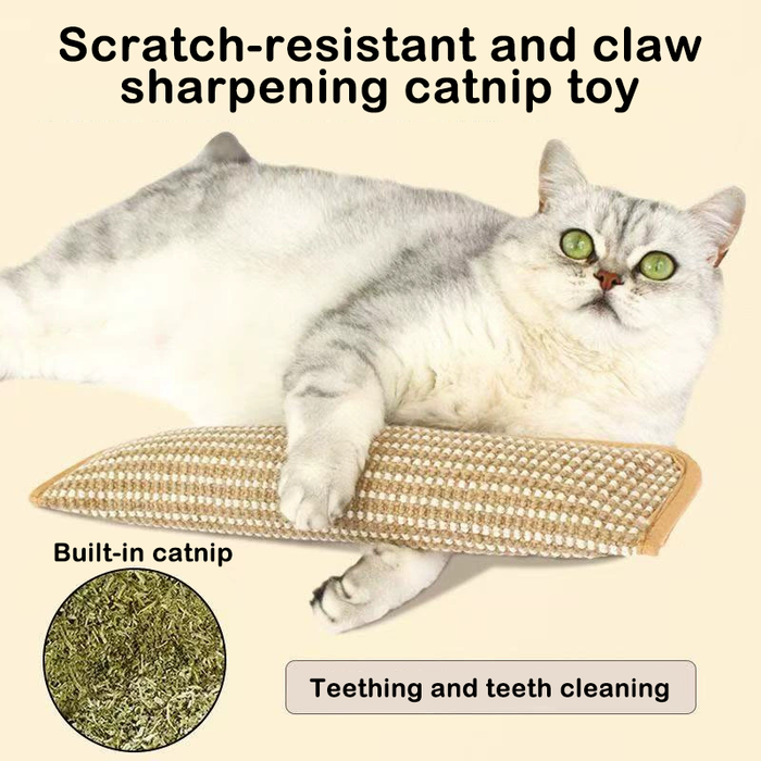 Catnip Pouch Toy | Cat Scratch Pad – Teeth Cleaning & Play