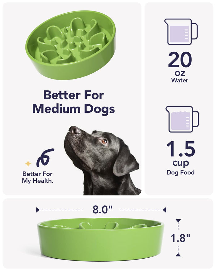 Ceramic Slow Feeder Dog Bowl | Puzzle Bowl for Small & Medium Dogs