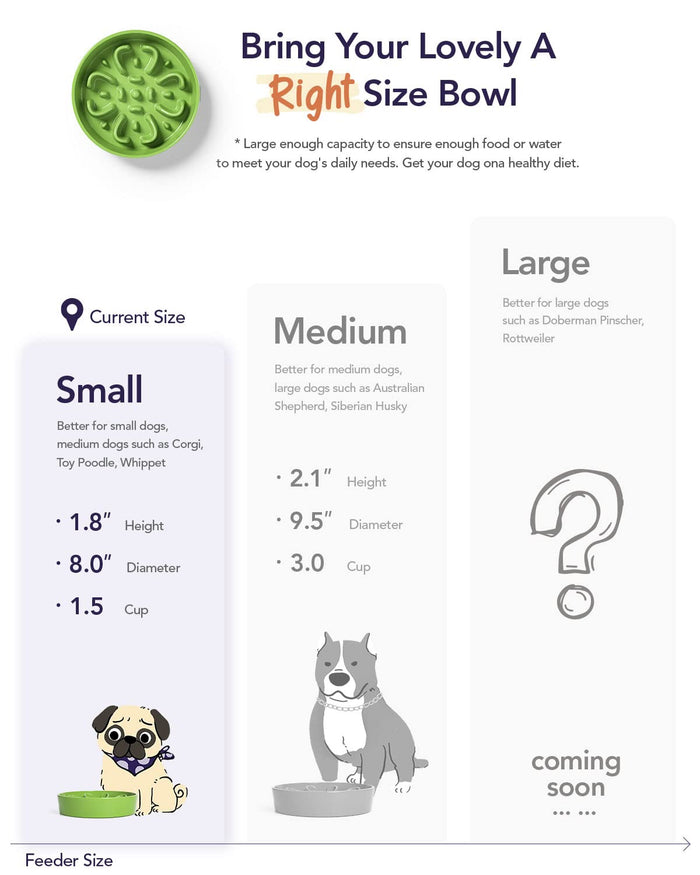 Ceramic Slow Feeder Dog Bowl | Puzzle Bowl for Small & Medium Dogs