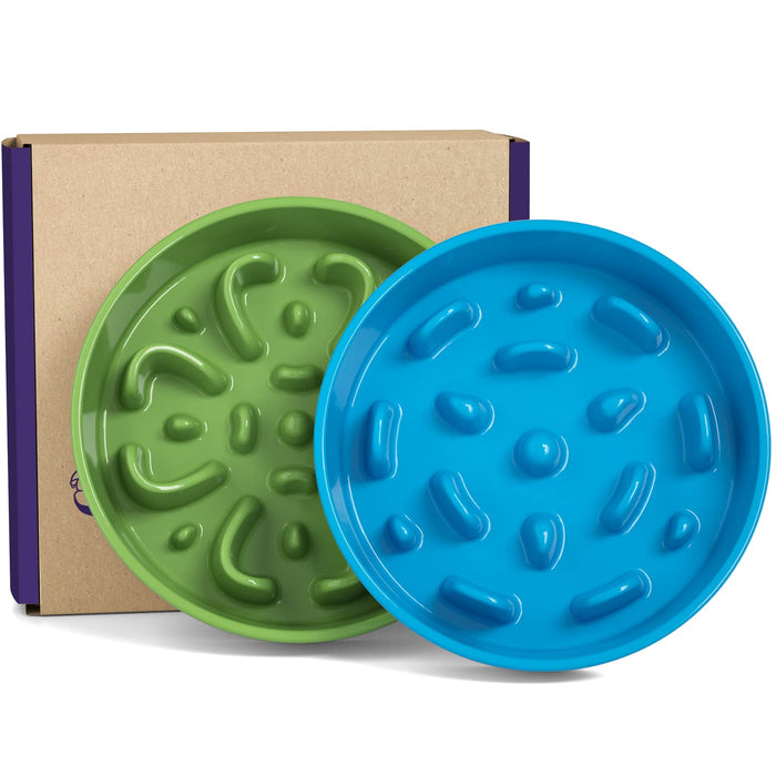 Ceramic Slow Feeder Dog Bowl | Puzzle Bowl for Small & Medium Dogs