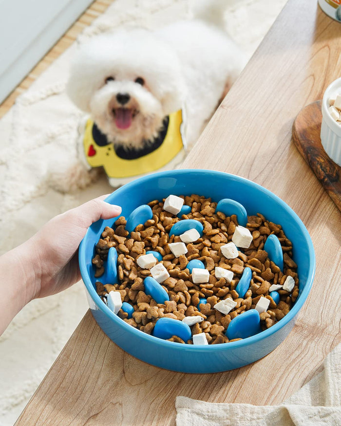 Ceramic Slow Feeder Dog Bowl | Puzzle Bowl for Small & Medium Dogs