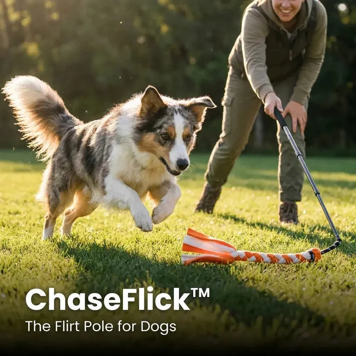 ChaseFlick | Flirt Pole for Dogs – Interactive Chase & Exercise Toy