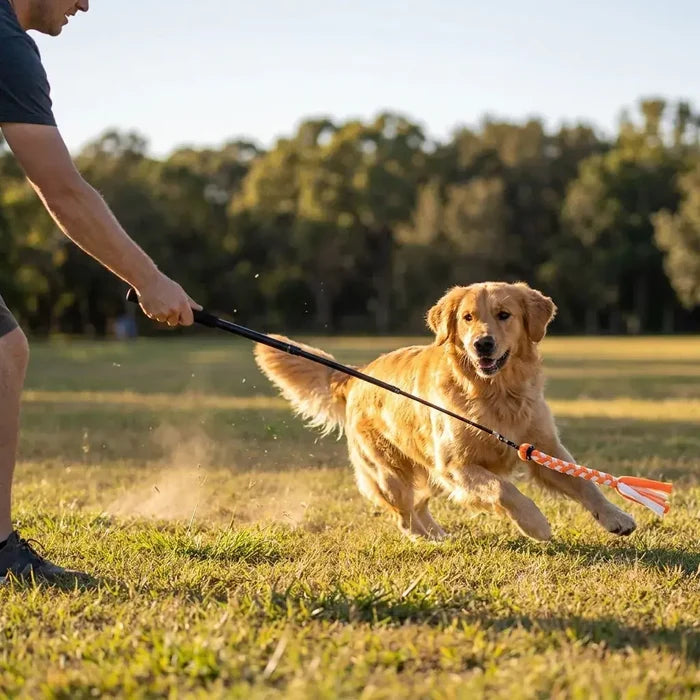 ChaseFlick | Flirt Pole for Dogs – Interactive Chase & Exercise Toy