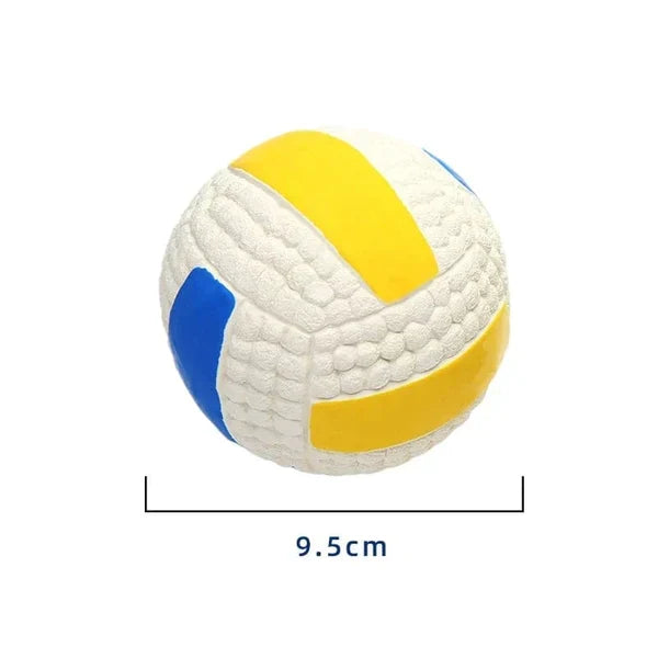 🏐 Volleyball / M