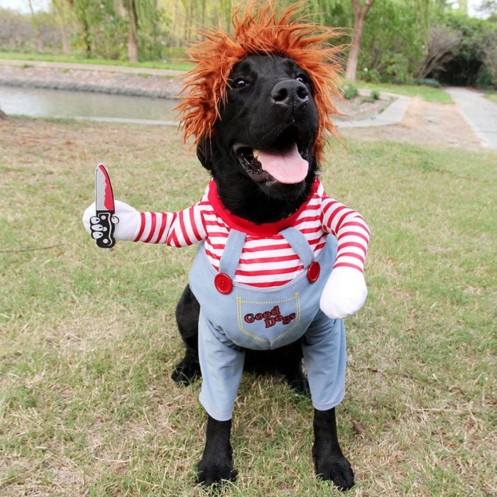 Chucky Dog Costume for Dogs – Funny Halloween Pet Outfit
