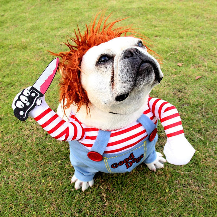Chucky Dog Costume for Dogs – Funny Halloween Pet Outfit