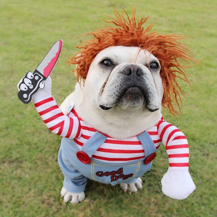 Chucky Dog Costume for Dogs – Funny Halloween Pet Outfit