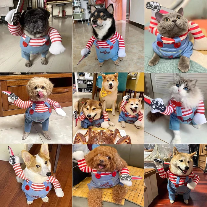 Chucky Inspired Dog Costume | Halloween Horror Outfit for Small Dogs
