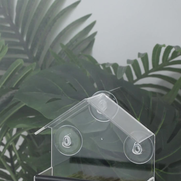 Clear Window Bird Feeder for Backyard Bird Watching & Easy Outdoor Feeding