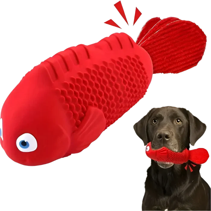 Clown fish Toy | Dog Chew Toy – Durable Squeaky Fun