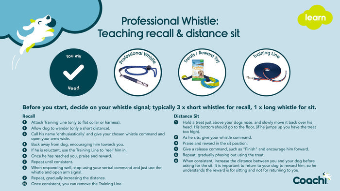 Coachi | Professional Dog Training Whistle for Recall & Distance Control